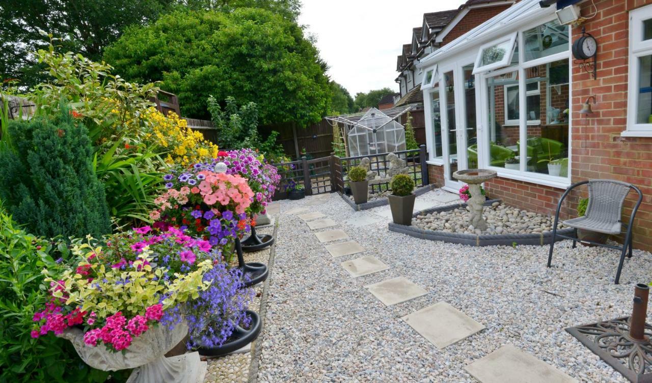 Rosedale Bed And Breakfast Lyndhurst Extérieur photo