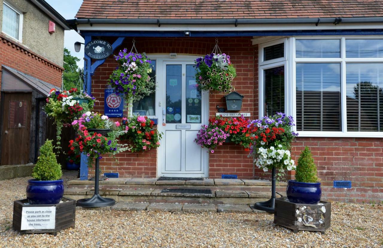 Rosedale Bed And Breakfast Lyndhurst Extérieur photo