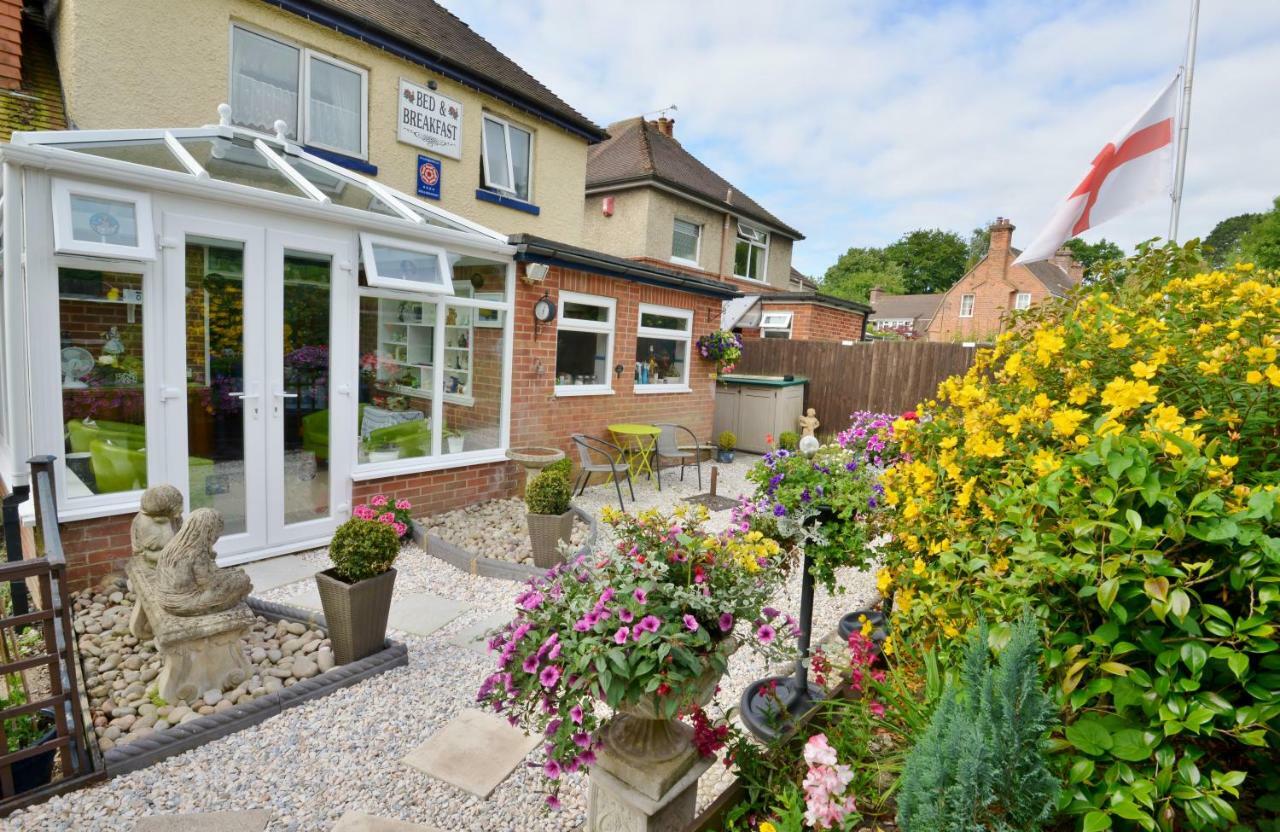 Rosedale Bed And Breakfast Lyndhurst Extérieur photo